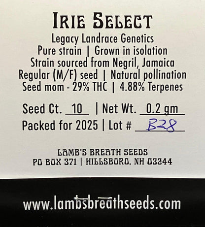 Lamb's Breath Seeds - Ire Select