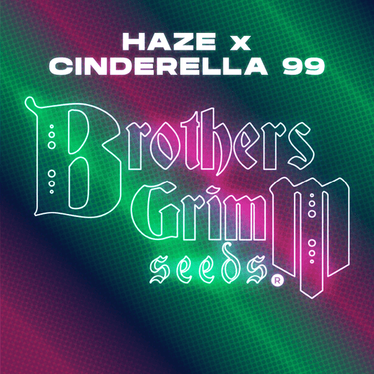 Brothers Grimm - Haze x Cinderella 99